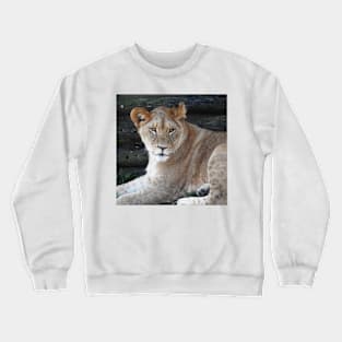 Lion Crewneck Sweatshirt